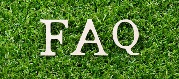 dreamstime_xxl_175183451.jpg (1)